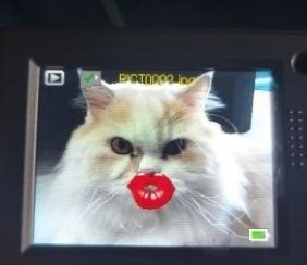 A cat with a sticker-lips filter on a buyer's camera screen